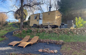 Orchard Valley Shepherds Hut With Jacuzzi